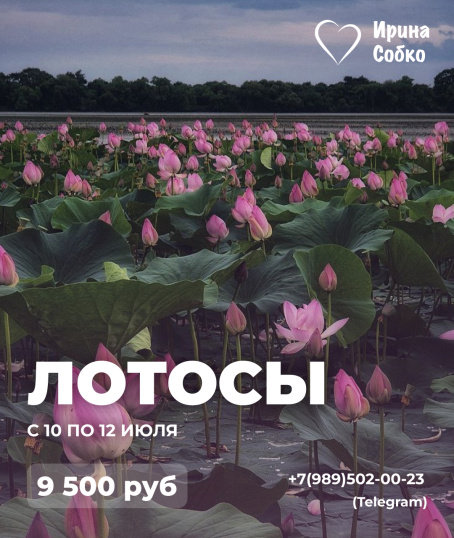 Лотосовый рай + бассейн с минеральной водой + вечерний Краснодар!!!